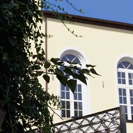 Couette-café Gosciniec & Darłowo